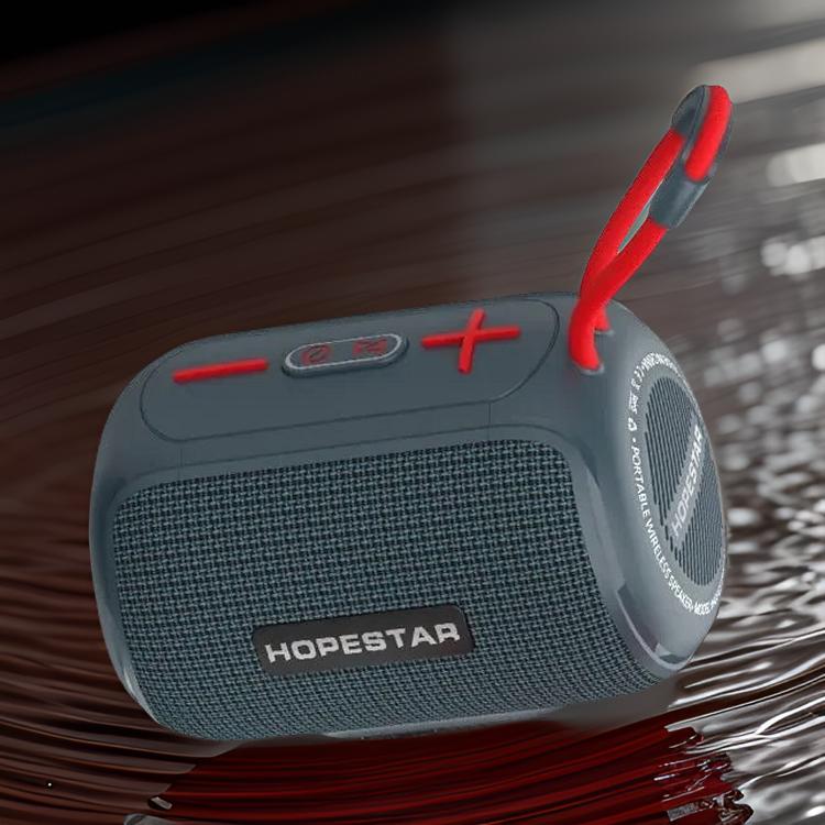 HOPESTAR T10 Speaker